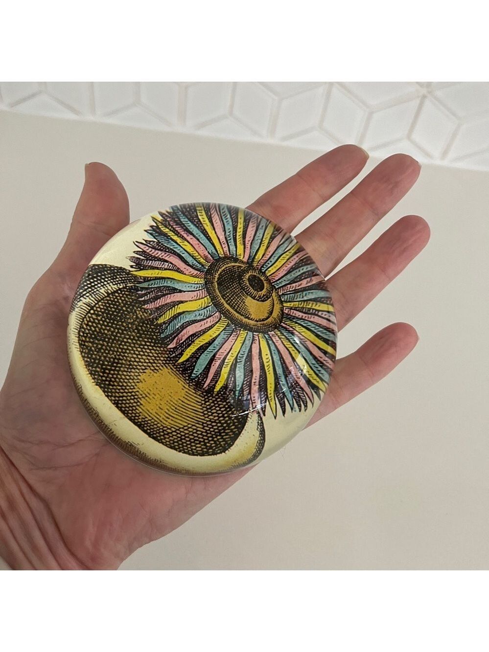 JOHN DERIAN Glass Dome Paperweight Decoupage Sea Anemone Decor Handmade - Picture 7 of 16